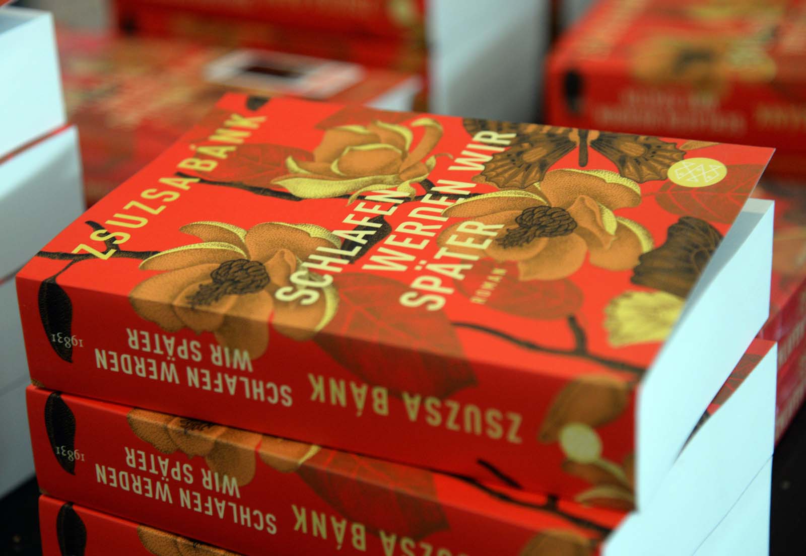 Zsuzsa Bánk am 12. Juni 2018 in Wittlich