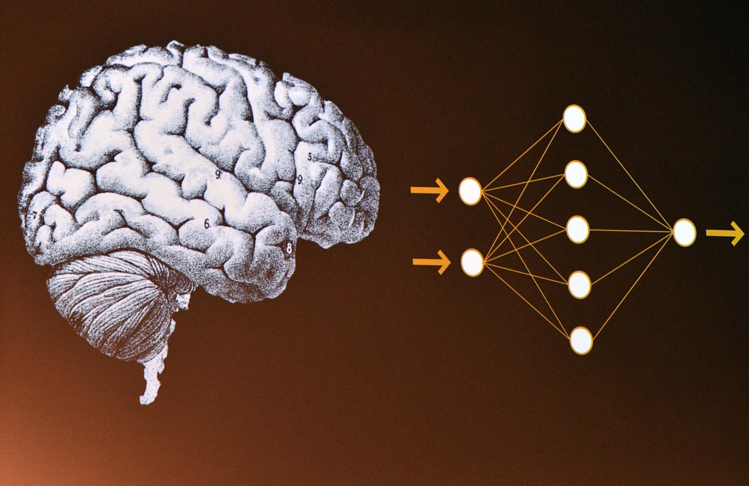 Ranga Yogeshwar am 19. Oktober 2018 in Bitburg